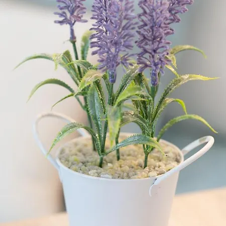 Old Town By Living * بلباو