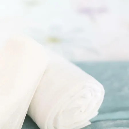 Apartman Old Town By Living *